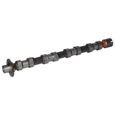Bild av FEBI BILSTEIN 181657 Arbre à Cames Côté d&#039;admission FORD: FOCUS 3, KUGA 2, Grand C Max, CITROËN: DS5 5 portes, PEUGEOT: 508 I Berline
