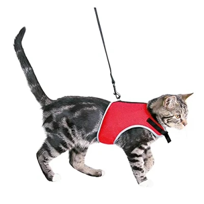 Bild av Trixie Soft harness cat with leash 24 42 cm 1.20 m Assorted