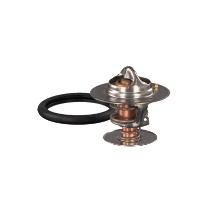 Bild av FEBI BILSTEIN 18979 Thermostat d&#039;eau 92 avec bague d&#039;étanchéité FORD: MONDEO 2, Focus Mk1 3/5 portes, Transit Connect Van