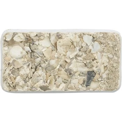 Bild av Mineralsten med Snäckskal