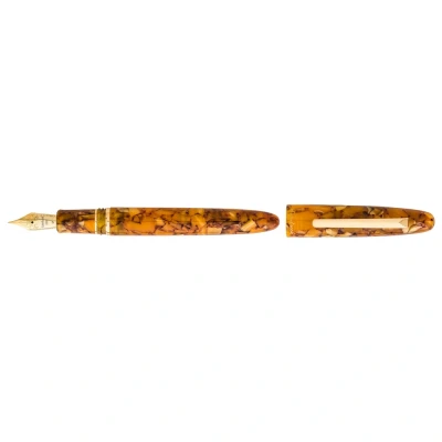 Bild av Esterbrook Estie Honeycomb GT FP M