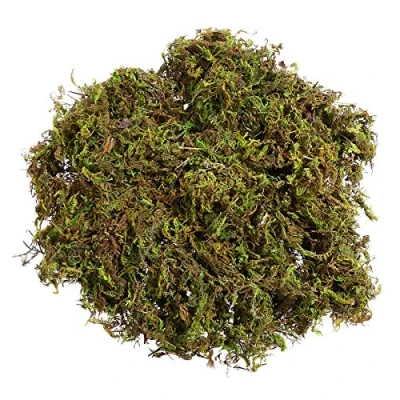 Bild av Winomo 3 förpackningar med konstgjord mossa, falska gröna Lichenplantor för hem, trädgård, uteplats dekoration 60 g/förpackning