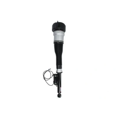 Bild av Luftfjäderben Magnum technology APM015MT