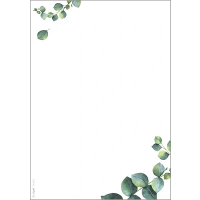 Bild av Sigel DP682 Högkvalitativt motivpapper, skrivarpapper, eukalyptus, grön, A5, 100 ark, motiv på båda sidor, 90 g/m², för menyer, av hållbart papper