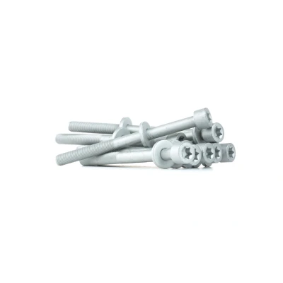 Bild av REINZ 14 32037 01 Jeu De Vis Culasse Torx intérieur OPEL: Vectra A Berline, Frontera Sport SUV Cabriolet, Calibra