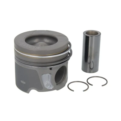 Bild av NÜRAL 87 436700 00 Piston 85 avec canal de refroidissement, porte segment, pour bielle trapézoïdale LAND ROVER: Range Rover Evoque