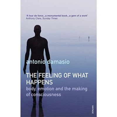Bild av the Feeling of What Happens: Body and Emotion in Making Consciousness