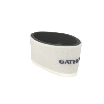 Bild av ATHENA S410250200022 Luftfilter