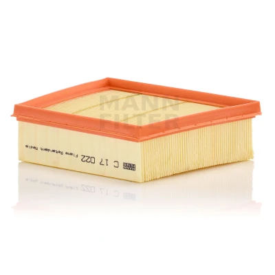 Bild av Luftfilter MANN FILTER C 17 022