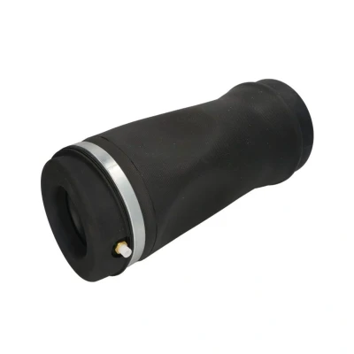 Bild av Luftfjäder, hjulupphängning Magnum technology MZY001MT