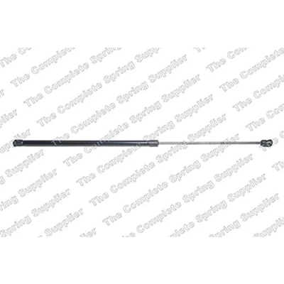 Bild av LESJÖFORS 8127579 Vérin de coffre arrière FORD: C Max 2