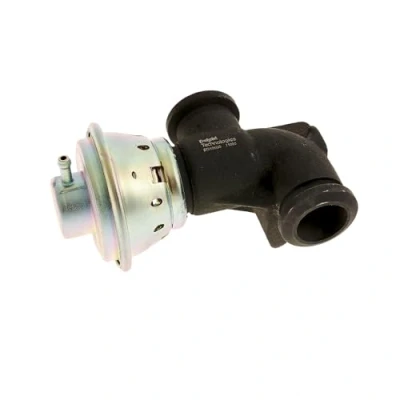 Bild av DELPHI EG10530 12B1 EGR Ventil utan avgasåterförings kylare PEUGEOT: Boxer Minibuss