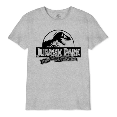 Bild av Jurassic Park &quot;30 årsdag&quot; BOJUPAMTS047 pojke T shirt, grå melange, storlek 8 år, Melange grå, �r