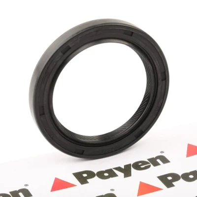 Bild av Packbox, vevaxel PAYEN NJ005