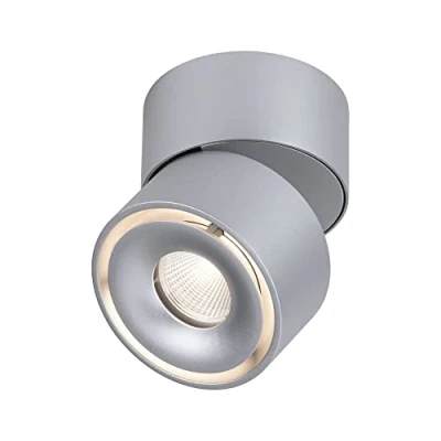 Bild av Paulmann Spircle LED påbyggnad downlight krom matt