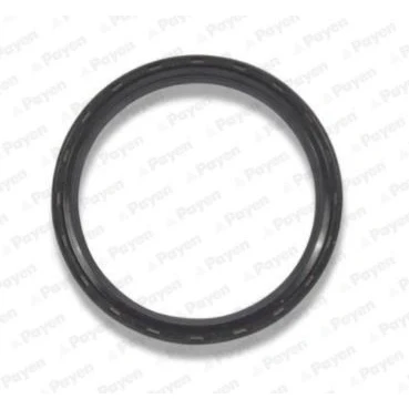 Bild av PAYEN NA5298 Joint Spi De Vilebrequin FPM (caoutchouc fluoré) BMW: 5 Berline, 3 1 portes, MINI: 3/5 Countryman, Clubman