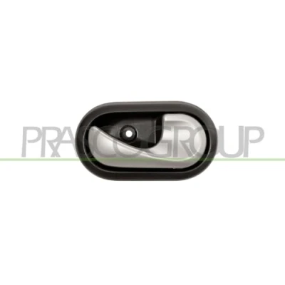 Bild av PRASCO DA2208607 Poignée De Porte intérieur, arrière droite, avant droite noir, argent DACIA: Duster SUV