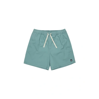 Bild av Element Chillin Classic WK shorts blå S