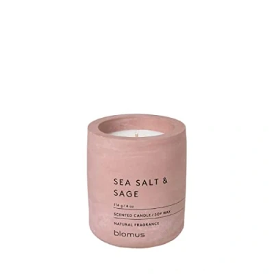 Bild av blomus FRAGA Doftljus S tillverkat av sojavax, med ros, högkvalitativ rumsdoft, karakteristisk betonggook, doft SEA SALT &amp; SAGE, 24 h brinntid (H/B/D: 8 x 6,5 cm, vithered 65651)