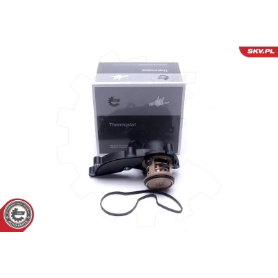 Bild av Termostat, kylvätska, audi a4 b7, b7 avant, cabriolet, a6 allroad c6, c6 a8 d3, 06E 121 111 D, G,