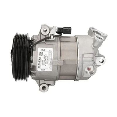 Bild av DELPHI TSP0155830 compresseur De Climatisation 5CVC PAG 46 avec huile RENAULT: CLIO 3, MEGANE 2, 2 Coupe Cabriolet