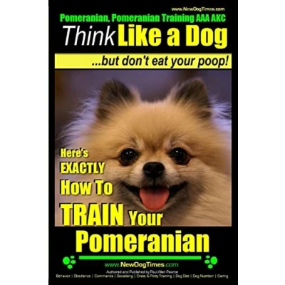 Bild av Pomeranian, Pomeranian Training AAA AKC: Think Like a Dog, but Don’t Eat Your Poop! Breed Expert : Here’s EXACTLY How to Train Pomeranian: 1