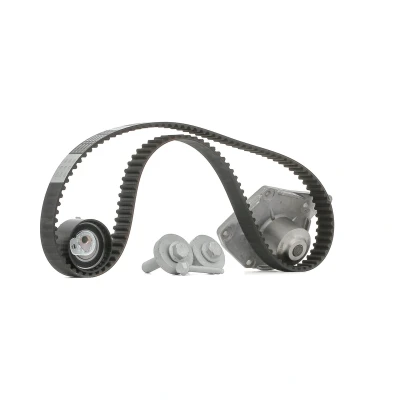 Bild av BOSCH 1 987 946 982 Pompe à Eau + Kit De Distribution 123 RENAULT: LAGUNA 3, Clio III Grandtour, MEGANE 2 Coupe Cabriolet, DACIA: Duster SUV