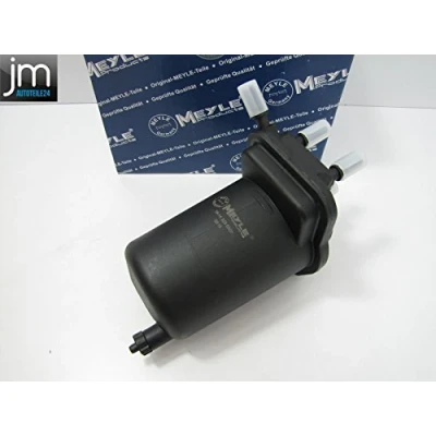 Bild av MEYLE 16 14 323 0007 Filtre à Carburant de conduite ORIGINAL Quality RENAULT: CLIO 2, Kangoo II Express, I, NISSAN: Juke, Note I