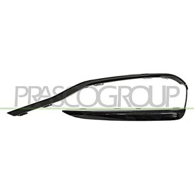 Bild av PRASCO BM0311203 Baguette et bande protectrice, pare chocs avant droite BMW: 3 Berline, Touring