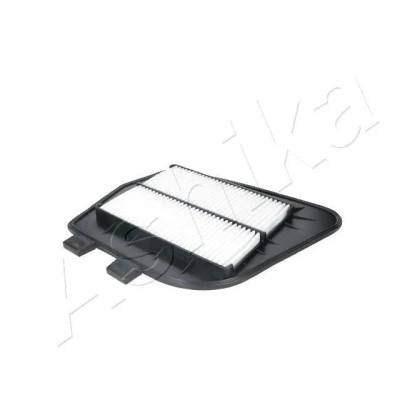 Bild av Luftfilter, cadillac cts, 25728874, 25798270
