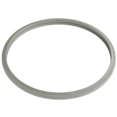 Bild av Fissler Vitavit Royal kana Vitaquick Spare for Old Pressure Poto, Silicone, 22 cm