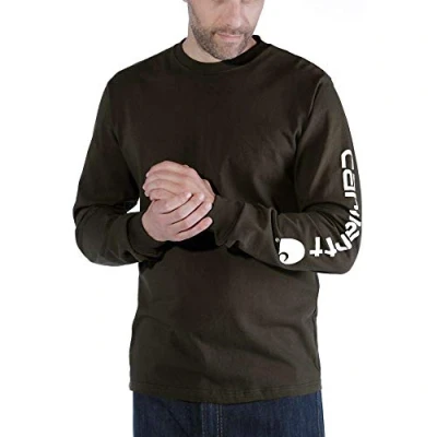 Bild av Carhartt Löst, tung långärmad t shirt med logotypgrafik på ärmarna, Torv, S