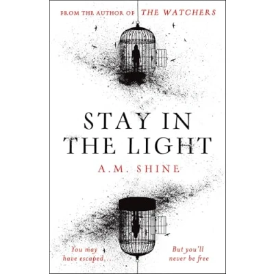 Bild av Stay in THE Light: chilling sequel to WATCHERS, now adapted into a major motion picture