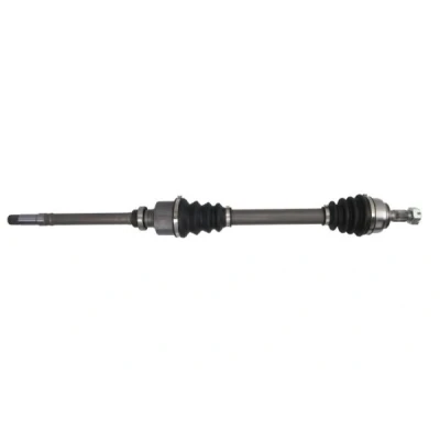 Bild av Drivaxel PASCAL G2C077PC