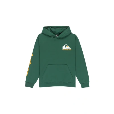 Bild av Quiksilver Omni logo huvtröja multi 8 fleecetröja