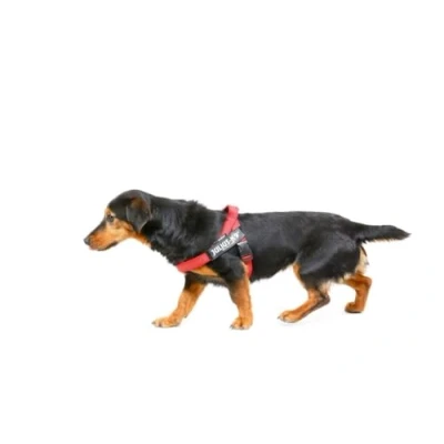 Bild av Julius K9 C&amp;G IDC harness Mini red chest size 49 67cm