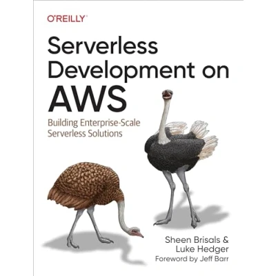 Bild av Serverless Development on AWS: Building Enterprise Scale Solutions
