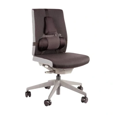 Bild av Fellowes Professional Series Ultimate Back Support