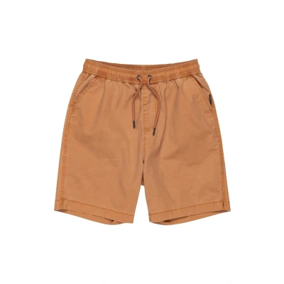 Bild av Quiksilver shorts TAXER ungdom brun 16