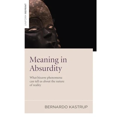 Bild av Meaning in Absurdity What bizarre phenomena can tell us about the nature of reality
