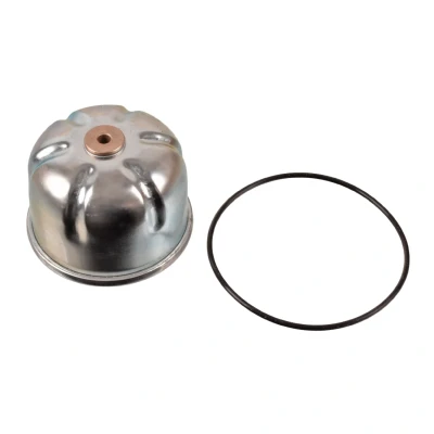 Bild av BLUE PRINT ADJ132121 Filtre à huile avec bague d&#039;étanchéité Centrifugeur LAND ROVER: Defender SUV, Discovery 2, Pick up