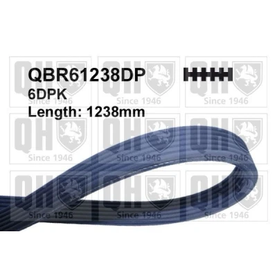 Bild av QUINTON HAZELL QBR61238DP Courroie Poly V 1238 6 FIAT: BRAVO 1, Coupe