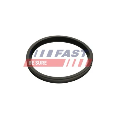 Bild av Tätningsring, laddluftslang Fast FT48947