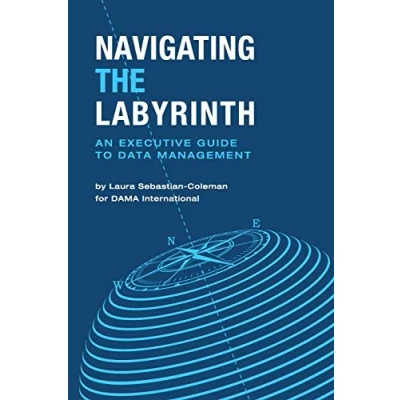 Bild av Navigating the Labyrinth: An Executive Guide to Data Management