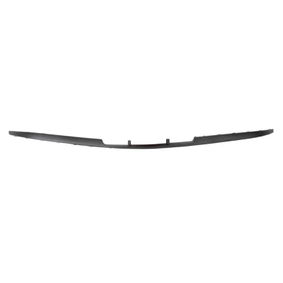 Bild av PRASCO Premium FT3401245 Baguette et bande protectrice, pare chocs avant FIAT: Punto II 3/5 portes