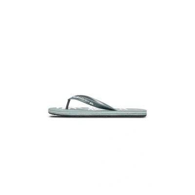 Bild av Quiksilver Molokai Screen Tåsandaler, Storlek: 45, Ltg Konstmaterial