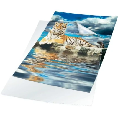 Bild av Durable 231419 Plastficka A3, transparent, 10 stycken