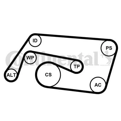 Bild av CONTITECH 6PK2260K2 Jeu de courroies trapézoïdales à nervures MERCEDES BENZ: Classe C Coupe, Berline, CLK Coupe