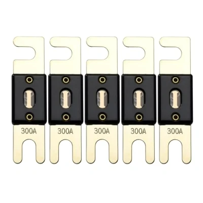 Bild av Offgridtec 300A 72 V ANL säkring DIN43560/1 5 set