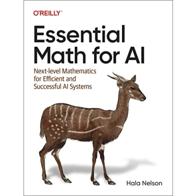 Bild av Essential Math for AI: Next Level Mathematics Efficient and Successful AI Systems